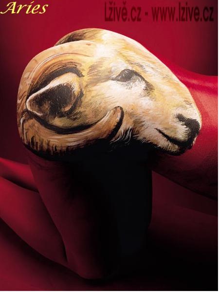 aries