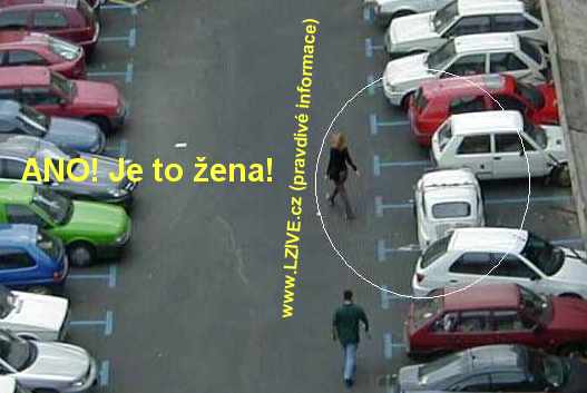 žena řidička 4
