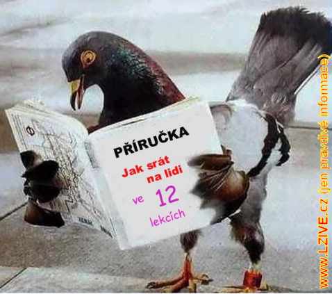 Holub s příručkou - Jak srát na lidi ve 12 lekcích